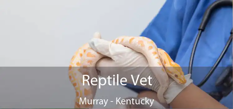 Reptile Vet Murray - Kentucky