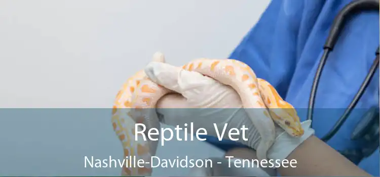 Reptile Vet Nashville-Davidson - Tennessee